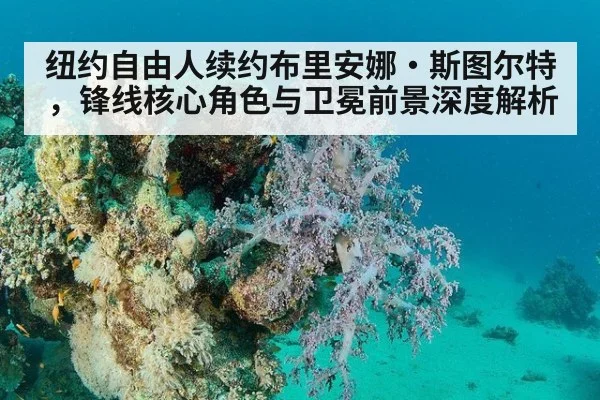 纽约自由人续约布里安娜·斯图尔特，锋线核心角色与卫冕前景深度解析 - jiuyouhui