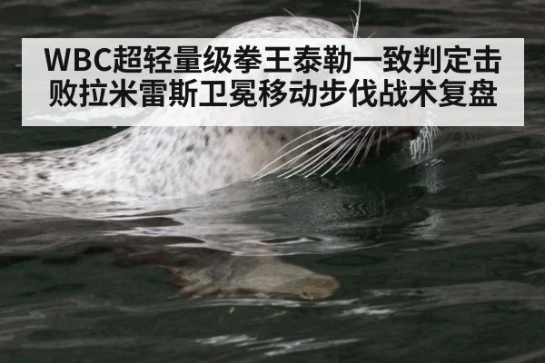 WBC超轻量级拳王泰勒一致判定击败拉米雷斯卫冕移动步伐战术复盘 - jiuyouhui